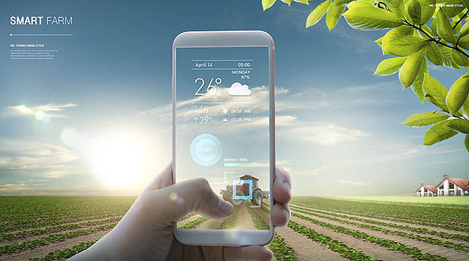科技賦能未來 智能手機在智能農業(yè)管理中的應用