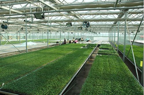 鄉(xiāng)村巧搭數(shù)字快車 智能農業(yè)管理助力鄉(xiāng)村振興