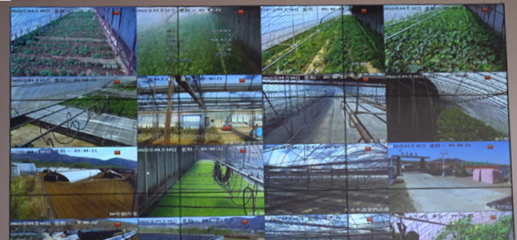 農(nóng)業(yè)農(nóng)村局打造區(qū)域數(shù)字農(nóng)業(yè)發(fā)展新模式 智能農(nóng)業(yè)管理的創(chuàng)新實踐