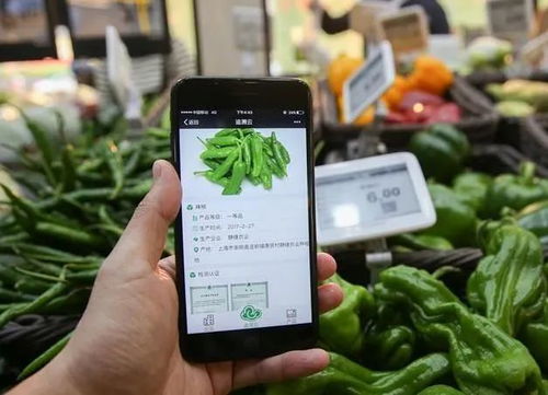 為什么要農(nóng)產(chǎn)品溯源？一文為你解答智能農(nóng)業(yè)管理