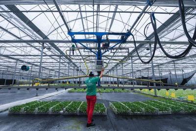 數字牧羊人 智能農業管理如何重塑北歐工作與生活平衡